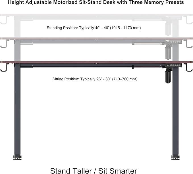 NSY Audio Electric Standing Desk 55x24 Inches - Height Adjustable, Whisper Quiet Motor, Walnut Top & Black Frame for Home Office Gaming, Focused Work, Walnut Brown
