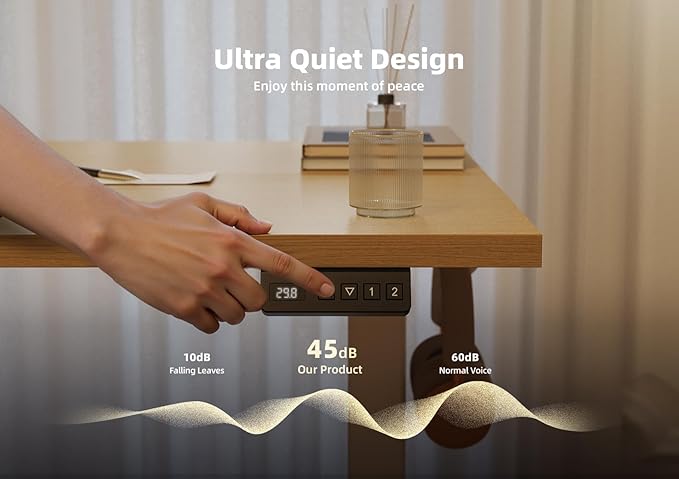 Seang Standing Desk with Adjustable Height, 55x24 Inch Electric Stand Up Desk for Home Office, Studio, Computer Workstation, Nature Top