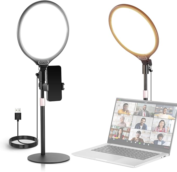 NEEWER Basics 10.5" Desk Ring Light with Stand/Phone Holder/Timer, 3000-6500K Full Screen 15W LED Selfie Panel Lighting for iPhone Recording Streaming Makeup Laptop Webcam Video Conference Zoom, R10