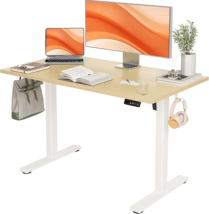 Seang Standing Desk with Adjustable Height, 48x24 Inch Electric Stand Up Desk for Home Office, Studio, Computer Workstation, Nature Top