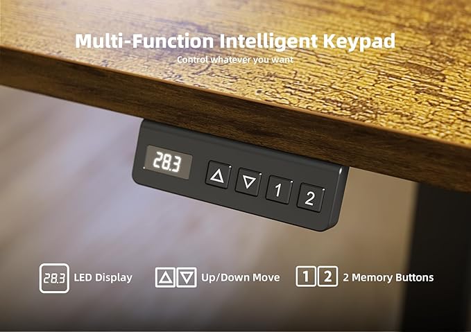 Seang Standing Desk with Adjustable Height, 48x24 Inch Electric Stand Up Desk for Home Office, Studio, Computer Workstation, Rustic Brown Top