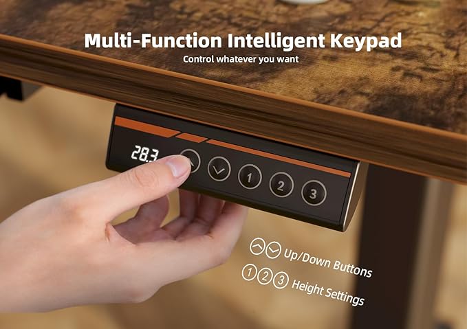 YDN Standing Desk with Drawers, Electric Adjustable Height 48 x 24 Inch Stand Up Desks for Home Office, Rustic Brown