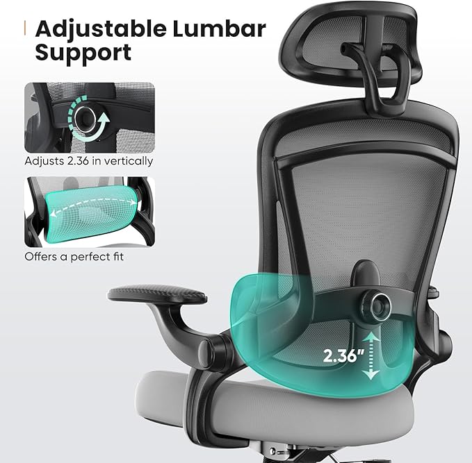 Sweetcrispy Ergonomic High Back Office Chair with 2D Headrest, Up&Down Lumbar Support, Swivel Computer Task Mesh Desk Chairs with Adjustable Flip-up Armrests,Grey