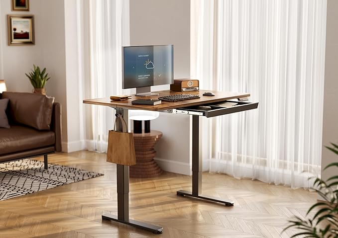 YDN Standing Desk with Drawers, Electric Adjustable Height 48 x 24 Inch Stand Up Desks for Home Office, Rustic Brown