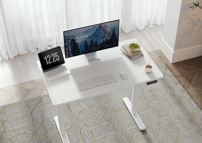 Seang Standing Desk with Adjustable Height, 48x24 Inch Electric Stand Up Desk for Home Office, Studio, Computer Workstation, White Top