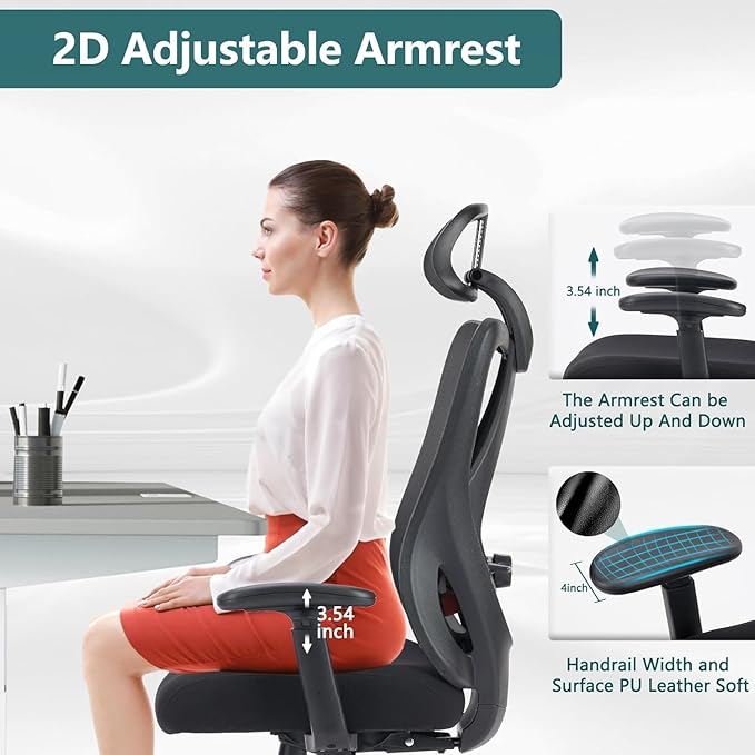 Home Office Desk Chair,2D Armrest Adjustable Lumbar Support & Headrest,Ergonomic High Back Rolling Work Swivel Computer Chairs with Wheels,135°Tilt Function, Inky