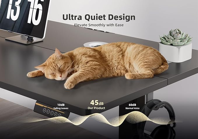 YDN Electric Standing Desk Adjustable Height, 40 x 24 Inches Stand up Desk with Cable Management, Home Office Desks with Splice Board & Black Frame, Black Top