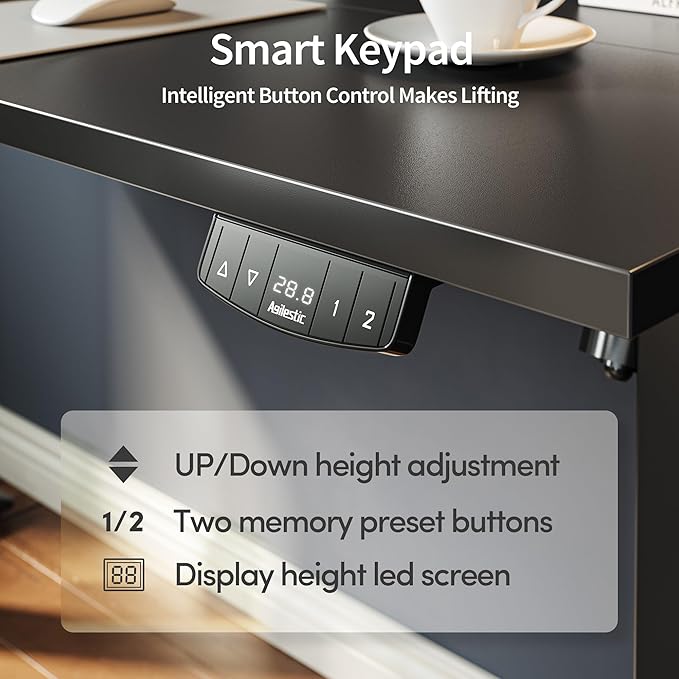 Agilestic Electric Standing Desk, 48 x 24 Inches Height Adjustable Desk, Sit Stand up for Work Office Home, Ergonomic Rising Gaming Computer Table with Memory Preset, Black