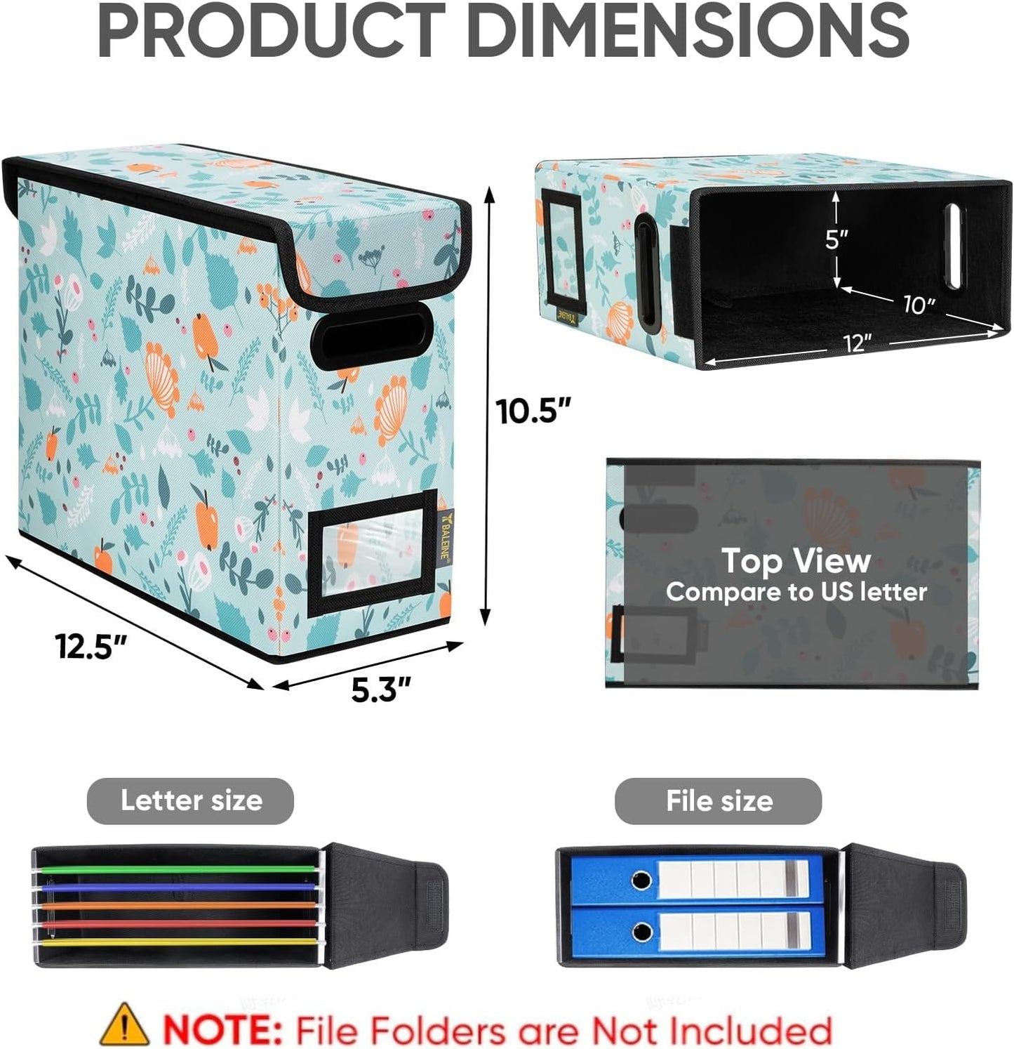 BALEINE File Organizer Box with Lid, Collapsible File Folder Organizer with Plastic Slide, Hanging File Folder Box for Office Document Storage (2 Pack, Spring Stroll, S)