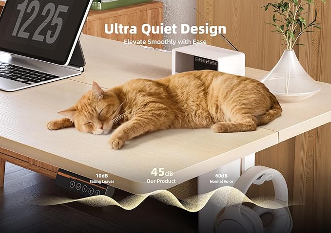 YDN Electric Standing Desk Adjustable Height, 40 x 24 Inches Stand up Desk with Cable Management, Home Office Desks with Splice Board & White Frame, Nature Top