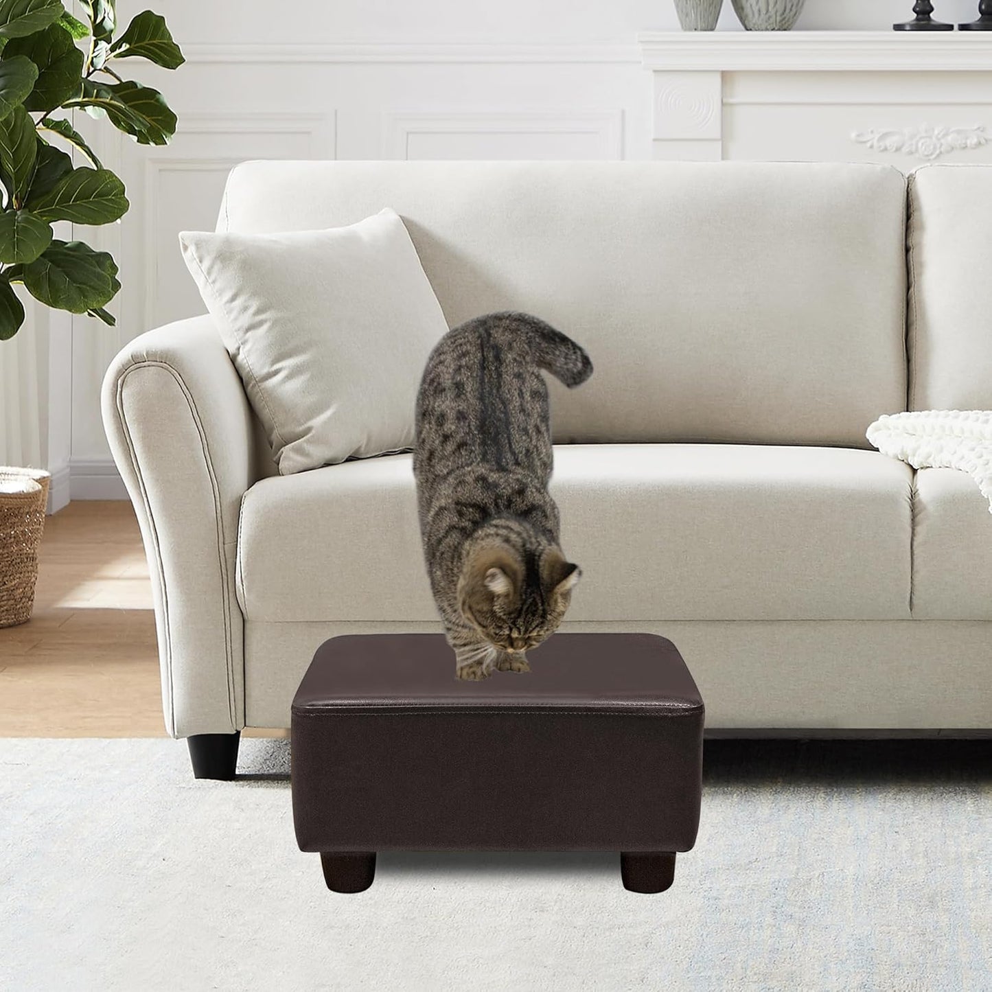 CAROLMADE Small Foot Stool Ottoman Footstool with Legs Under Desk Footrest for Living Room Bedroom and Office, Dark Brown