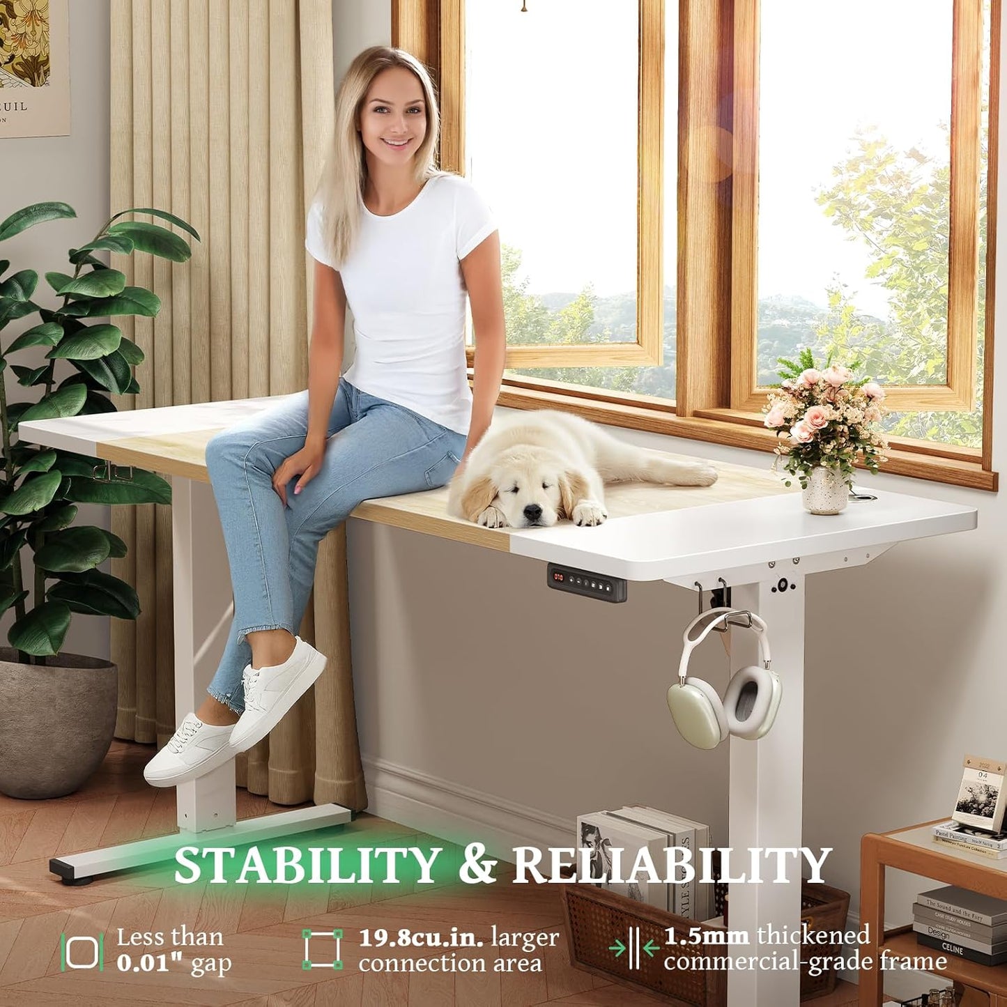 SIAGO Electric Standing Desk Adjustable - 55 x 24 Inch Sit Stand up Desk with Cable Management - 3 Memory Preset Adjustable Height Table