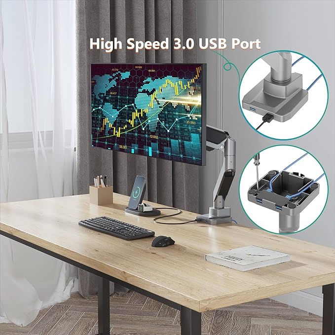 WALI Ultrawide Monitor Arm for 13 to 49 Inch Heavy Duty Curved Screens, Adjustable Gas Spring Single Monitor Desk Mount with 2 USB 3.0 Ports, Holds 33 lbs, 75x75/100x100 VESA, Silver (GSMU001)