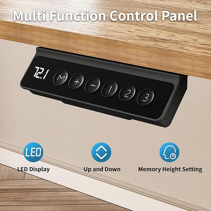 BIZUM 40x24 Inch Electric Standing Desk with Memory Presets, Quiet Motor Height Adjustable Stand Up Desk for Home Office & Gaming, Ergonomic Sit Stand Workstation，Light Rustic Brown